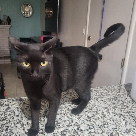 Meet your Posher, Stephanie  I will sell clothing in great condition!! - Picture 3 of 4